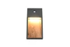SALMON kültéri falikar 1x11W LED120