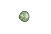 EARL LED falikar 1,5W140lm 3000K -1
