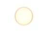 FELIS mennyezet lp. LED 24W2500lm27