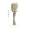 Szárazvirág 60cm natúr Guipos@