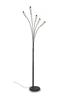 REED állólp. 5x3,5W LED350Lm3000K |