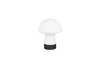 DOOLEY LED asztali lp. 1,5W140lm 30