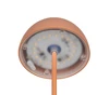 ORTIZ LED asztali lp. 2W150lm 3000K@