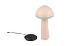 FUNGO LED 2W200lm, CCT, akku+dokkol