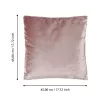 Párna 45X45X11cm Singu@