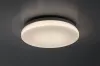 LOWAR kültéri mennyezeti LED 12W D24 kerek