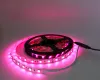LED SZALAG 5m  60LED/m IP20  RGB 14,4W/m    24V