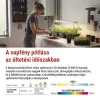 LED NÖVÉNYNÖVELŐ LÁMPA PALÁNTA