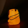 ÉJSZAKAI FÉNY KAPIBARA 2,5W USB @