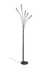 REED állólp. 5x3,5W LED350Lm3000K |