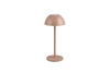 RICARDO LED asztali lp. 1,7W240lm @