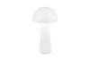 FUNGO LED 2W200lm, CCT, akku+dokkol