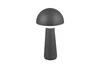 FUNGO LED 2W200lm, CCT, akku+dokkol