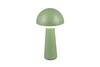 FUNGO LED 2W200lm, CCT, akku+dokkol