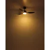 BLACKWELL Mennyezeti ventilátor LED 20W 230V CCT 2700-6500K