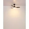 BLACKWELL Mennyezeti ventilátor LED 20W 230V CCT 2700-6500K