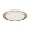 MOSCHETTA LED-CCT-DL O490 GOLD/WS