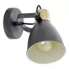 COSWARTH Fali E27 1x25W antracit/fa