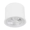 PUCK SMART RGB+TW LEDRGB/CCT modul @