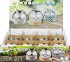Szolár bagoly vegyes display 115x11*
