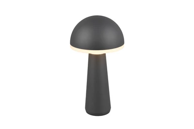 FUNGO LED 2W200lm, CCT, akku+dokkol