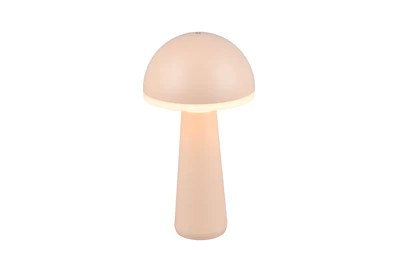 FUNGO LED 2W200lm, CCT, akku+dokkol