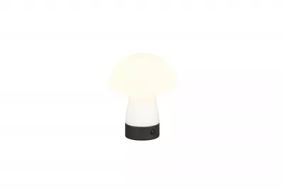 DOOLEY LED asztali lp. 1,5W140lm 30