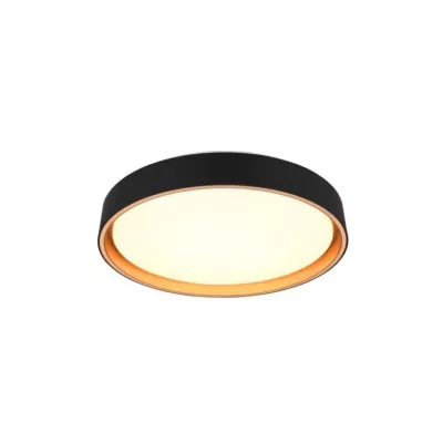 FELIS mennyezet lámpa 24W SMD LED 24W SMD LED/2500lm/2700-6500K