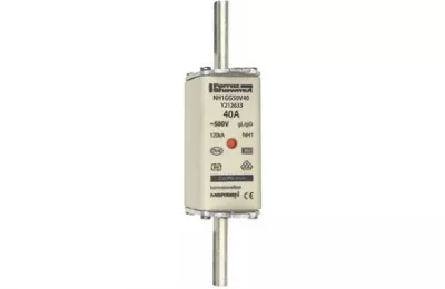 NH-SE/1C 500V 40A  gL  BETÉT