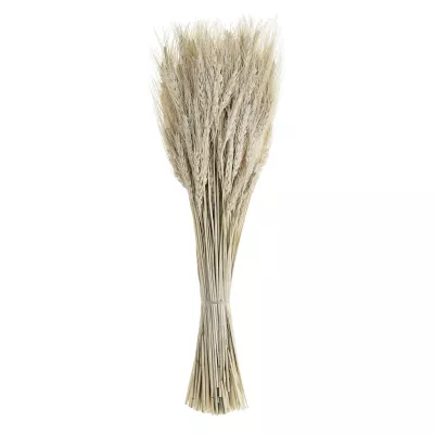 Szárazvirág 60cm natúr Guipos@