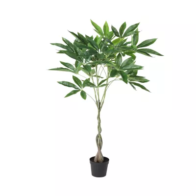 Gesztenyefa cserépben 89cm Yubetsu@