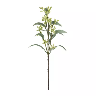Eukaliptusz ág zöld 54,5cm Etaya@