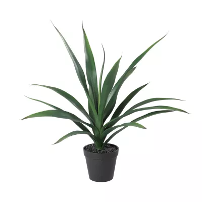 Agávé cserépben 58cm zöld Tobetsu@