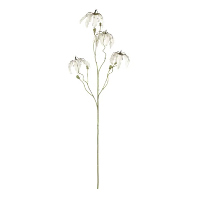 Művirág koronásliliom fehér@ Semporna