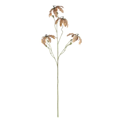 Művirág koronásliliom barna @ Semporna