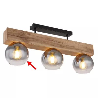 BURA GLOBO 15656 családhoz