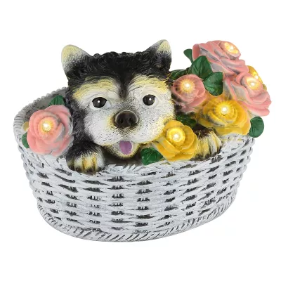 Szolár lámpa, kutya kosárban