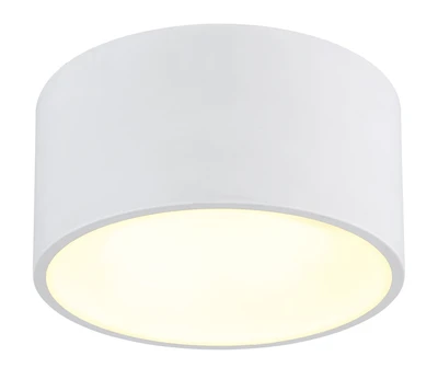RAYMOND mennyezeti LED lámpa 900lm