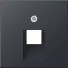 JUNG A569-1BFPLUAANM ELŐLAP CSATL.