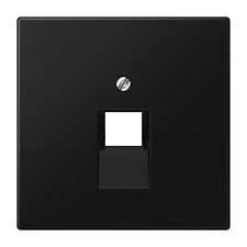 JUNG LS969-1UASWM FEDLAP MATT FK.