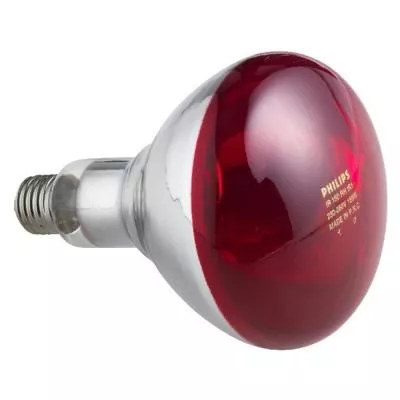 INFRA 150W RED E27 230V BR@