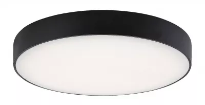 TARTU kültéri mennyezet lámpa LED 24W fekete 2800-4000-6000K 2500lm