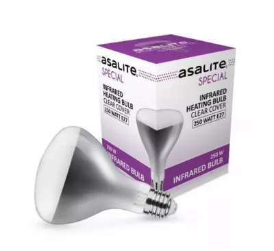 INFRA 250W CLEAR E27 240V@ R125 5000h