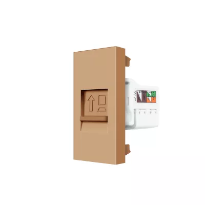 LIVOLO RJ45 CAT6 UTP 1 MOD. ARANY