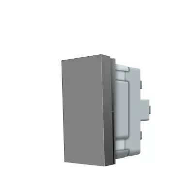 LIVOLO 101 EZÜST 1 MODULOS BETÉT 250V 5A