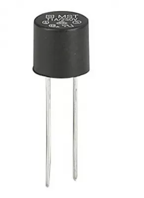 BIZTOSÍTÉK 1A 250V A/C