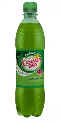 CANADA DRY 0,5L @
